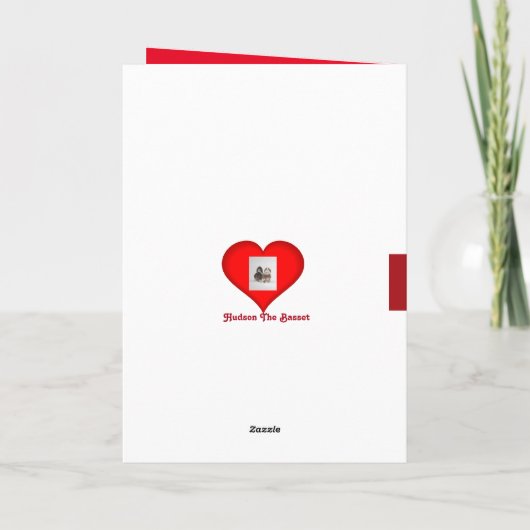 Schattigee Basset Hound op zoek naar een Valentijn Feestdagen Kaart (Achterkant)