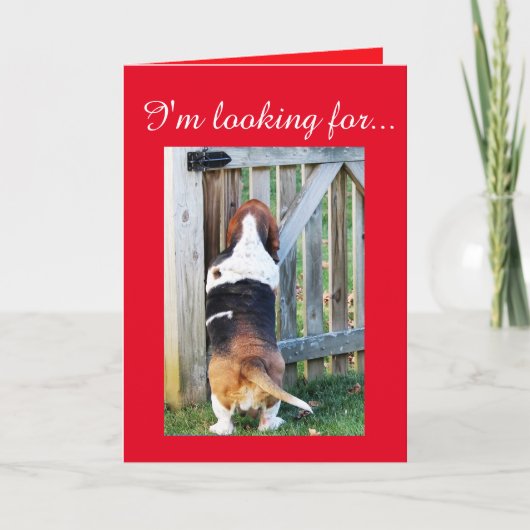 Schattigee Basset Hound op zoek naar een Valentijn Feestdagen Kaart (Voorkant)