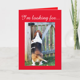 Schattigee Basset Hound op zoek naar een Valentijn Feestdagen Kaart