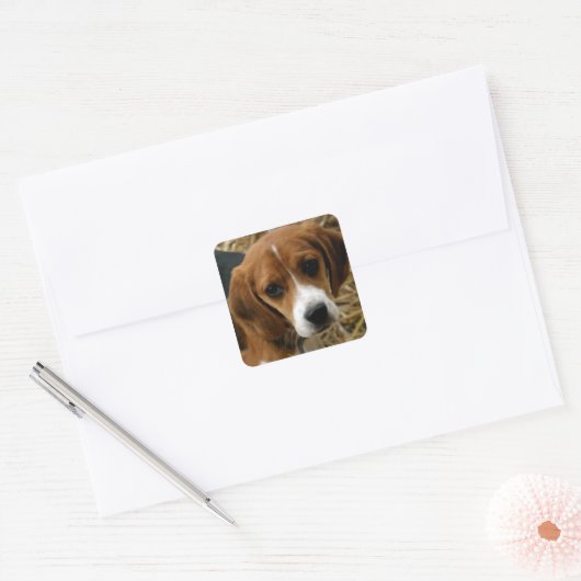 Schattigee Beagle Puppy Hondengroet Stickers (Envelop)