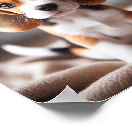 Schattigee beagle puppy met mooie ogen poster (Hoek)