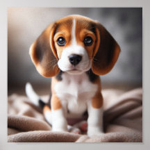 Schattigee beagle puppy met mooie ogen