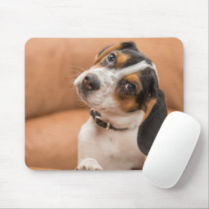 Schattigee Beagle Puppy Quizical Look Mousepad Muismat