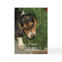 Schattigee Beagle Puppy Snoopy - Kerst