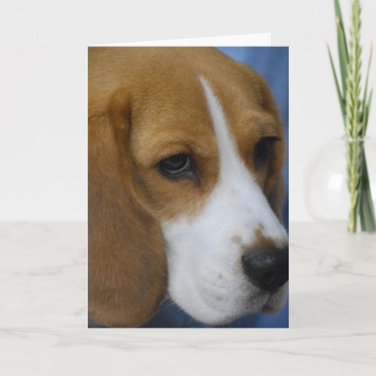 Schattigee Beagle Wenskaarten Kaart (Voorkant)