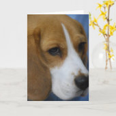Schattigee Beagle Wenskaarten Kaart (Gele Bloem)