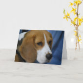 Schattigee Beagle Wenskaarten Kaart (Gele Bloem)