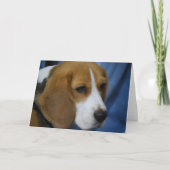 Schattigee Beagle Wenskaarten Kaart (Voorkant)