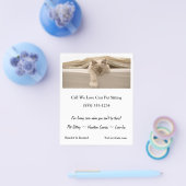 Schattigee beige kat slapen op beige bed flyer (Enkel)