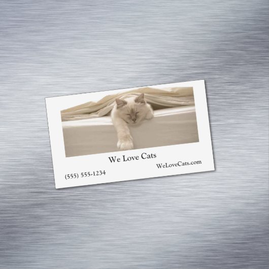 Schattigee beige kat slapen op beige bed magnetisch visitekaartje (Voorbeeld)