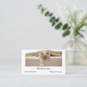 Schattigee beige kat slapen op beige bed visitekaartje (Staand voorkant)