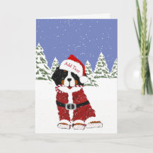 Schattigee Berner Berghond Santa Paws