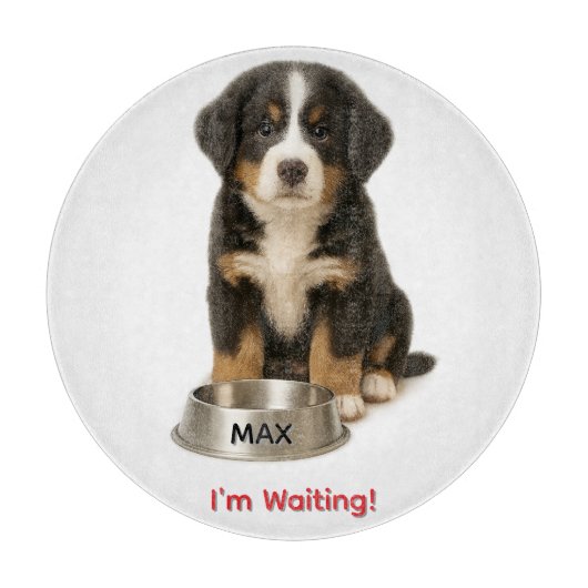 Schattigee Berner Mountain Puppy Glass snijplank (Voorkant)