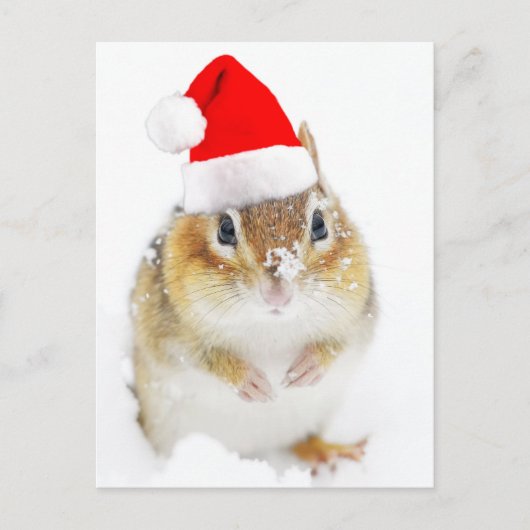 Schattigee besneeuwde Santa Chipmunk Feestdagenkaart (Voorkant)