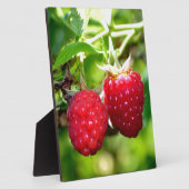 Schattigee bessen foto Frambozen bramen fruit Fotoplaat (Zijkant)