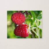 Schattigee bessen foto Frambozen bramen fruit Legpuzzel (Horizontaal)