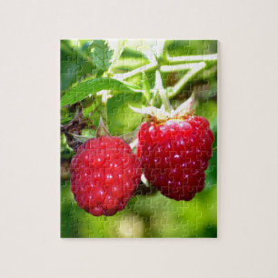 Schattigee bessen foto Frambozen bramen fruit Legpuzzel