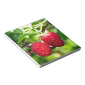 Schattigee bessen foto Frambozen bramen fruit Notitieblok (Schuin)