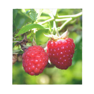 Schattigee bessen foto Frambozen bramen fruit Notitieblok