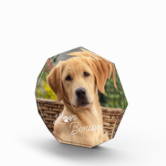 Schattigee Beste Vriend Afbeelding Love Paw Print  Fotoblokken (Rechts)