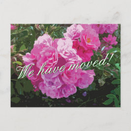 Schattigee bewegende briefkaarten met roze rozenbl