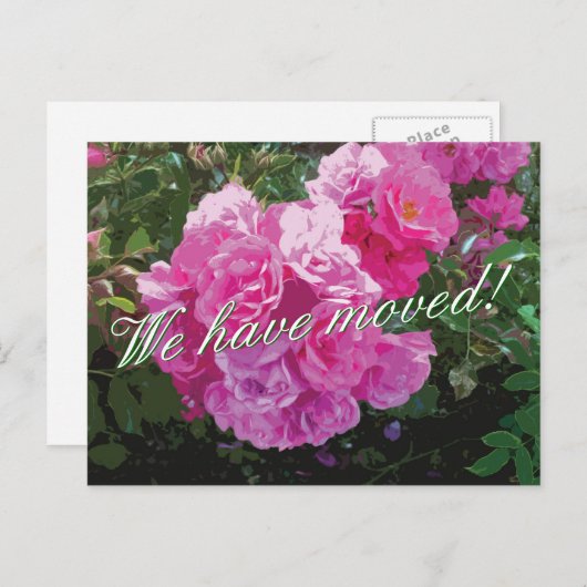 Schattigee bewegende briefkaarten met roze rozenbl (Voorkant / Achterkant)