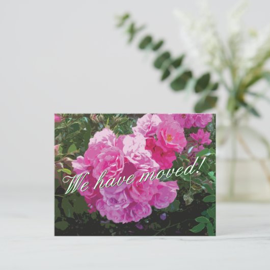 Schattigee bewegende briefkaarten met roze rozenbl (Staand voorkant)