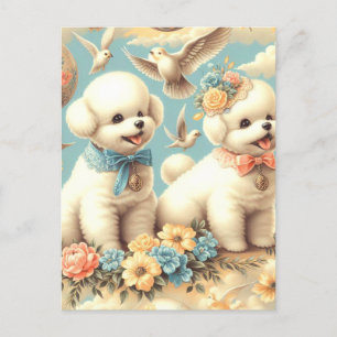  Schattigee Bichon Frisé Illustratie Briefkaart