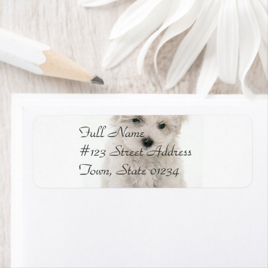 Schattigee Bichon Frise Mailing Label (Insitu)