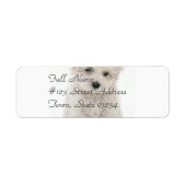 Schattigee Bichon Frise Mailing Label (Voorkant)