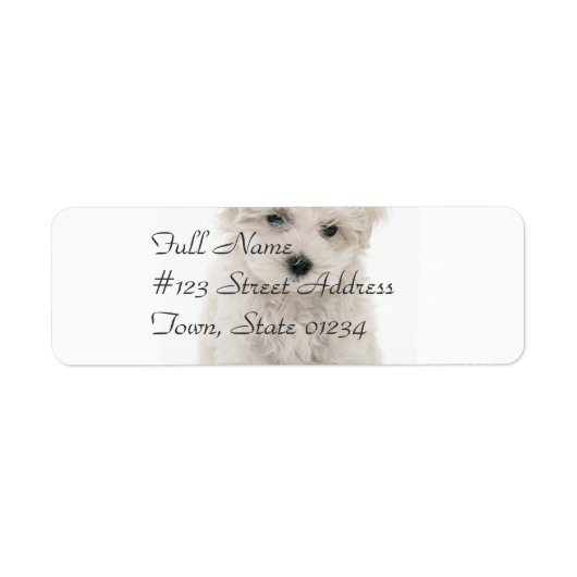Schattigee Bichon Frise Mailing Label (Voorkant)