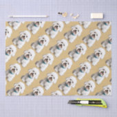 Schattigee Bichon Frise op Dappled Paper Achtergro Tissuepapier (Craft)