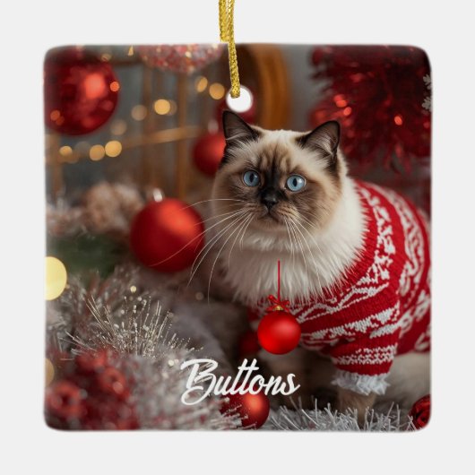 Schattigee Birman Cat Christmas gepersonaliseerd O Keramisch Ornament (Voorkant)