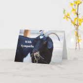 Schattigee Black Goat Foto Sympathie Kaart (Gele Bloem)