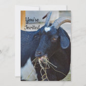 Schattigee Black Goat Foto Verjaardag Kaart (Voorkant)