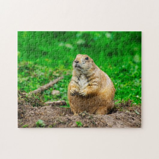 Schattigee Black-Tailed Prairie Dog Jigsaw puzzel (Horizontaal)