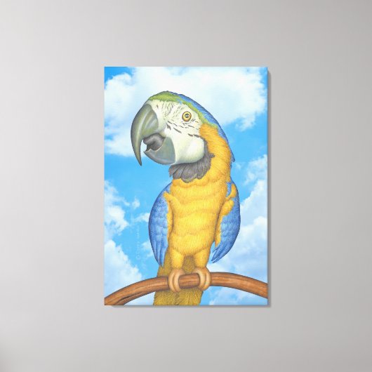 Schattigee Blauwe en Gouden Macaw Papegaai Canvas Afdruk (Voorkant)