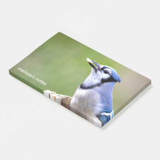 Schattigee Blauwe Jay Zangvogel met Pinda Post-it® Notes (Schuin)