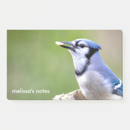Schattigee Blauwe Jay Zangvogel met Pinda Post-it® Notes