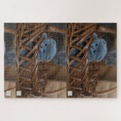 Schattigee blauwe kitten puzzel. legpuzzel (Horizontaal)