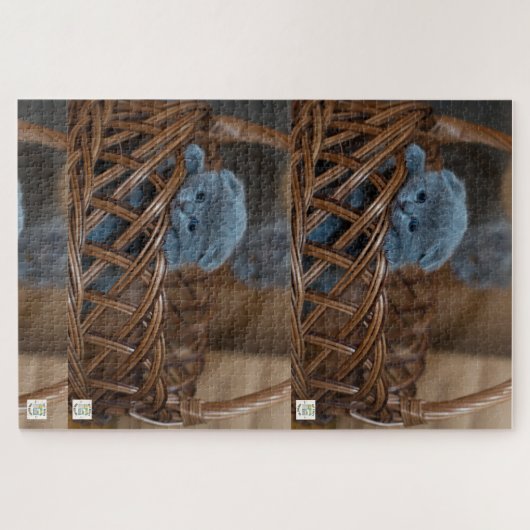 Schattigee blauwe kitten puzzel. legpuzzel (Horizontaal)