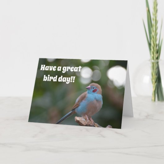 Schattigee blauwe vink verjaardag kaart (Voorkant)
