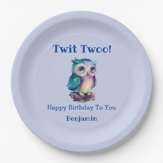 Schattigee Blue Woodland Animal Owl Verjaardag Papieren Bordje (Voorkant)