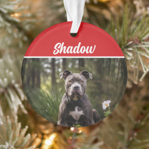 Schattigee Bluenose Pitbull Hond Vakantie Kerstfot Ornament