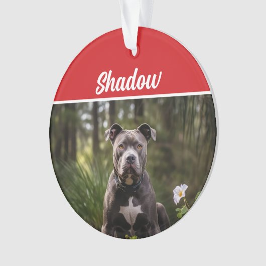 Schattigee Bluenose Pitbull Hond Vakantie Kerstfot Ornament (voorkant)