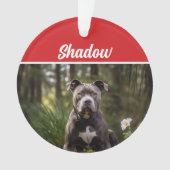 Schattigee Bluenose Pitbull Hond Vakantie Kerstfot Ornament (voorkant)