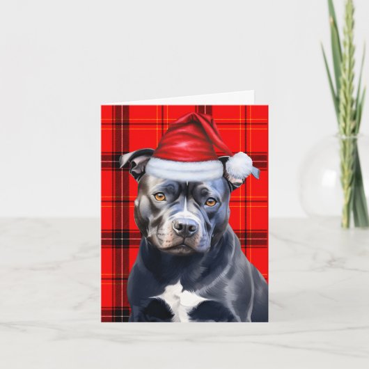 Schattigee Bluenose Pitbull Santa Dog Red Plaid Feestdagen Kaart (Voorkant)