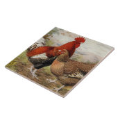 Schattigee boerderij haan hen decor tegeltje (Zijkant)