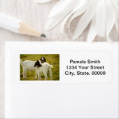 Schattigee Boerengeiten Personaliseren retouradres Etiket (Insitu)