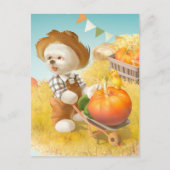 Schattigee Boerenhond met Pompoen Aankondigingskaart (Voorkant)